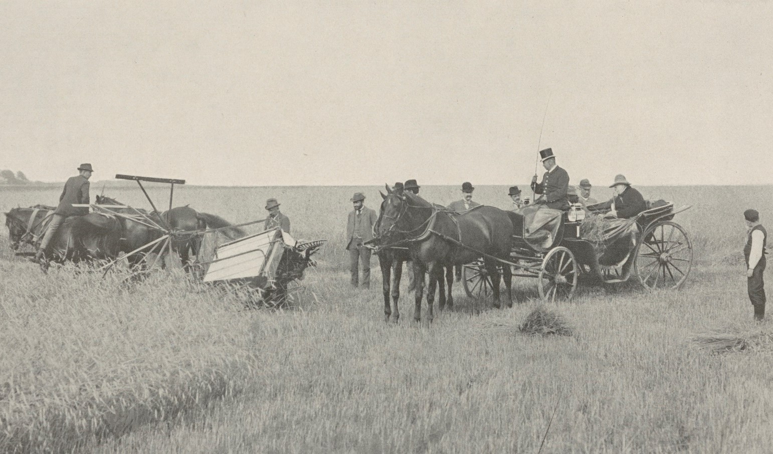 1897 Bismarck begutachtet Ernte